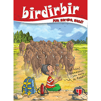 Birdirbir – Dua Kolektif