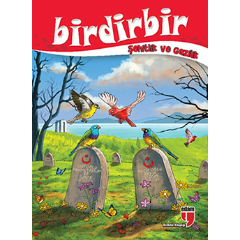 Birdirbir - Şehitlik Ve Gazilik Kolektif