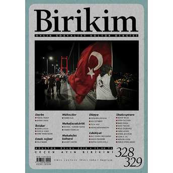 Birikim (328-329 Ağustos-Eylül)