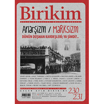 Birikim Aylık Sosyalist Kültür Dergisi Sayı: 230 - 231 Kolektif