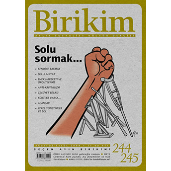 Birikim Aylık Sosyalist Kültür Dergisi Sayı: 244 - 245 Kolektif