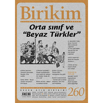 Birikim Aylık Sosyalist Kültür Dergisi Sayı: 260 Kolektif