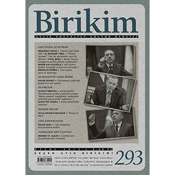 Birikim Aylık Sosyalist Kültür Dergisi Sayı: 293 Kolektif