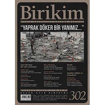 Birikim Aylık Sosyalist Kültür Dergisi Sayı: 302 Kolektif