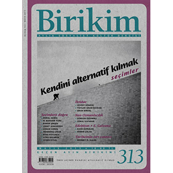 Birikim Aylık Sosyalist Kültür Dergisi Sayı: 313 Kolektif