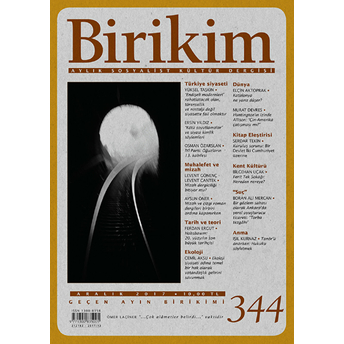 Birikim Sayı 344 :Aralık