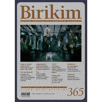 Birikim Sayı 365  Eylül