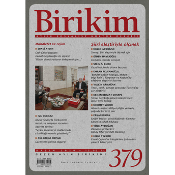 Birikim Sayı 379 - Kasım