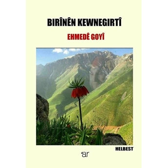 Bırinen Kewnegırti