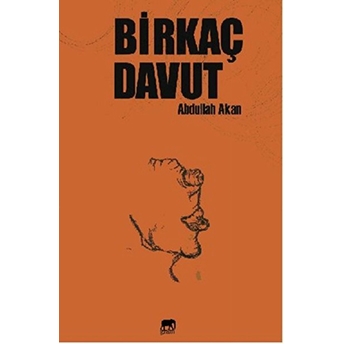 Birkaç Davut Abdullah Akan