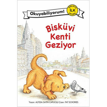 Bisküvi Kenti Geziyor Alyssa Satin Capucilli