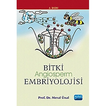 Bitki Embriyolojisi (Angiosperm)