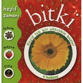 Bitki - Keşif Zamanı Ciltli Penelope Arlon