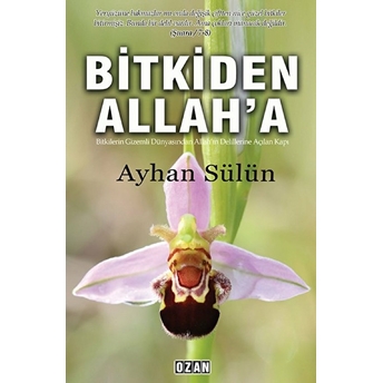 Bitkiden Allah'a