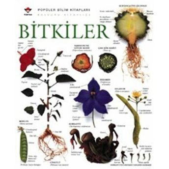 Bitkiler Ciltli Kolektif