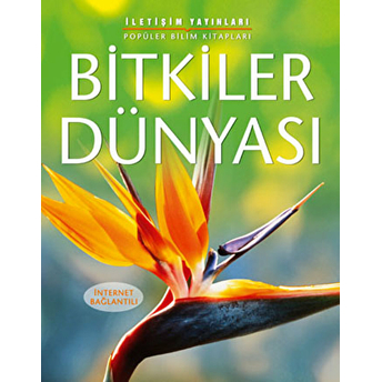 Bitkiler Dünyası Kirsteen Rogers