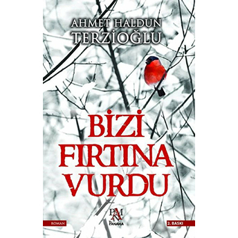 Bizi Fırtına Vurdu Ahmet Haldun Terzioğlu