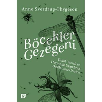 Böcekler Gezegeni - Tuhaf Yararlı Ve Hayranlık Uyandırıcı Dostlarımız Üzerine Anne Sverdrup Thygeson