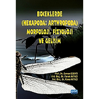 Böceklerde (Hexapoda: Arthropoda) Morfoloji, Fizyoloji Ve Gelişim