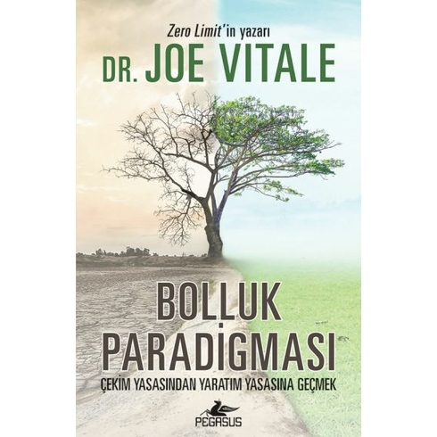 Bolluk Paradigması Dr. Joe Vıtale