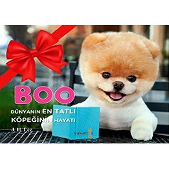 Boo Dünyanın En Tatlı Köpeğinin Hayatı J. H. Lee