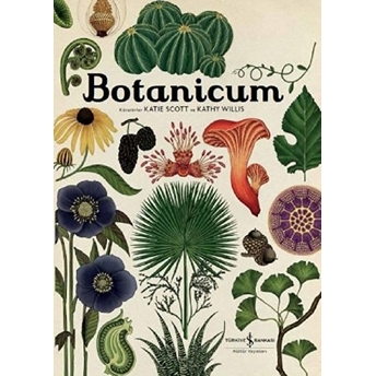 Botanicum (Ciltli) Katie Scott, Kathy Willis