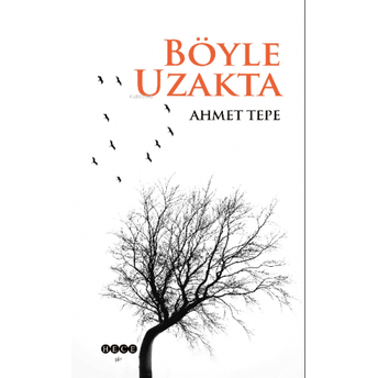 Böyle Uzakta Ahmet Tepe