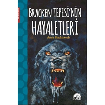 Bracken Tepesi'nin Hayaletleri (4. Ve 5. Sınıflar Için) Anne Mackintosh