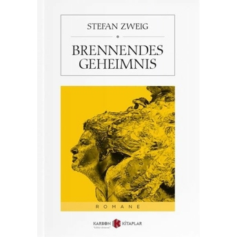 Brennendes Geheimnis Stefan Zweig