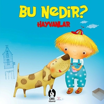 Bu Nedir - Hayvanlar Elif Tahmiscioğlu