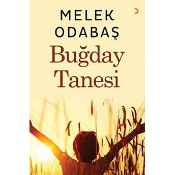 Buğday Tanesi - Melek Odabaş