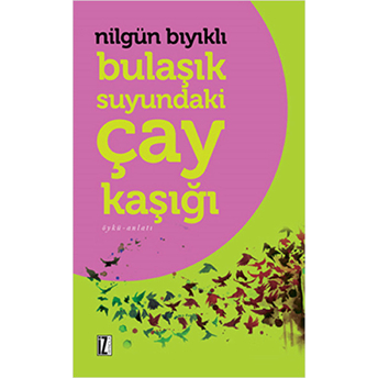 Bulaşık Suyundaki Çay Kaşığı Nilgün Bıyıklı