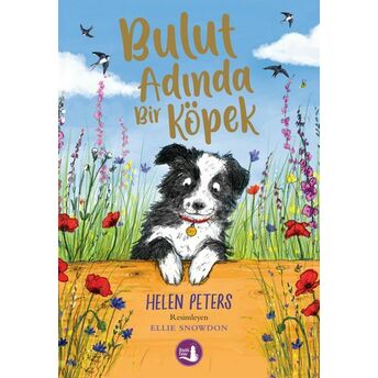 Bulut Adında Bir Köpek Helen Peters