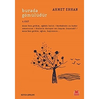 Burada Gömülüdür 1. Cilt Ahmet Erhan