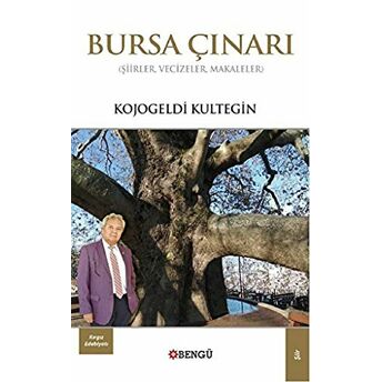 Bursa Çınarı Kojogeldi Kultegin