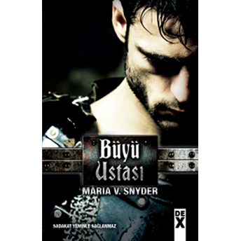 Büyü Ustası Maria V. Snyder