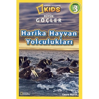 Büyük Göçler - Harika Hayvan Yolculukları 3