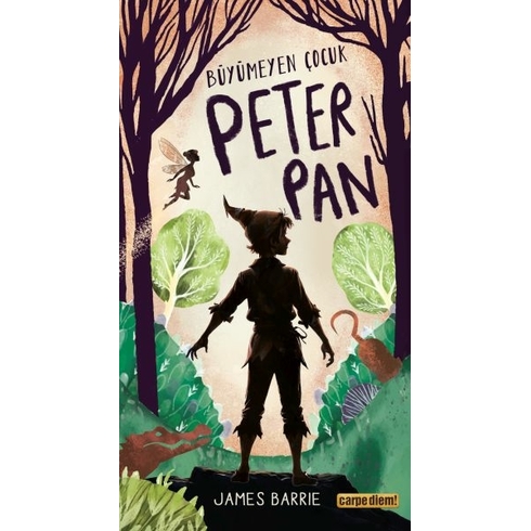 Büyümeyen Çocuk Peter Pan James Barrie