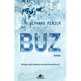 Buz Bernard Minier