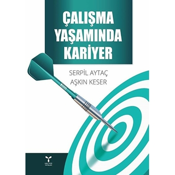 Çalışma Yaşamında Kariyer