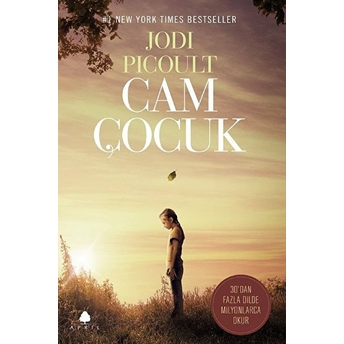 Cam Çocuk Jodi Picoult