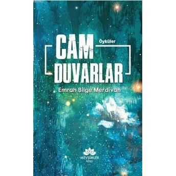 Cam Duvarlar Emrah Bilge Merdivan