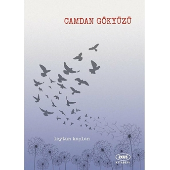 Camdan Gökyüzü