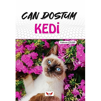 Can Dostum Kedi Yıldırım Çelebi