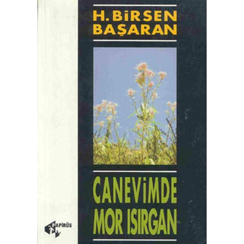 Canevimde Mor Isırgan Hatun Birsen Başaran