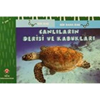 Canlıların Derisi Ve Kabukları - Bir Bak Bir Daha Bak David M. Schwartz