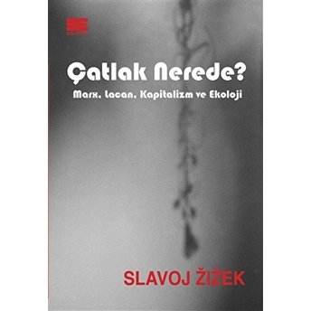 Çatlak Nerede? Slavoj Zizek