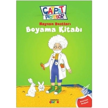 Çatpat Profesör / Hayvan Dostları Boyama Kitabı Hasan Nihat Sütçü