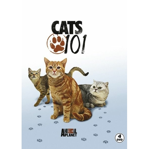 Cats 101 (Dvd)