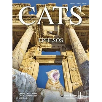 Cats Of Ephesos Lois Lammerhuber